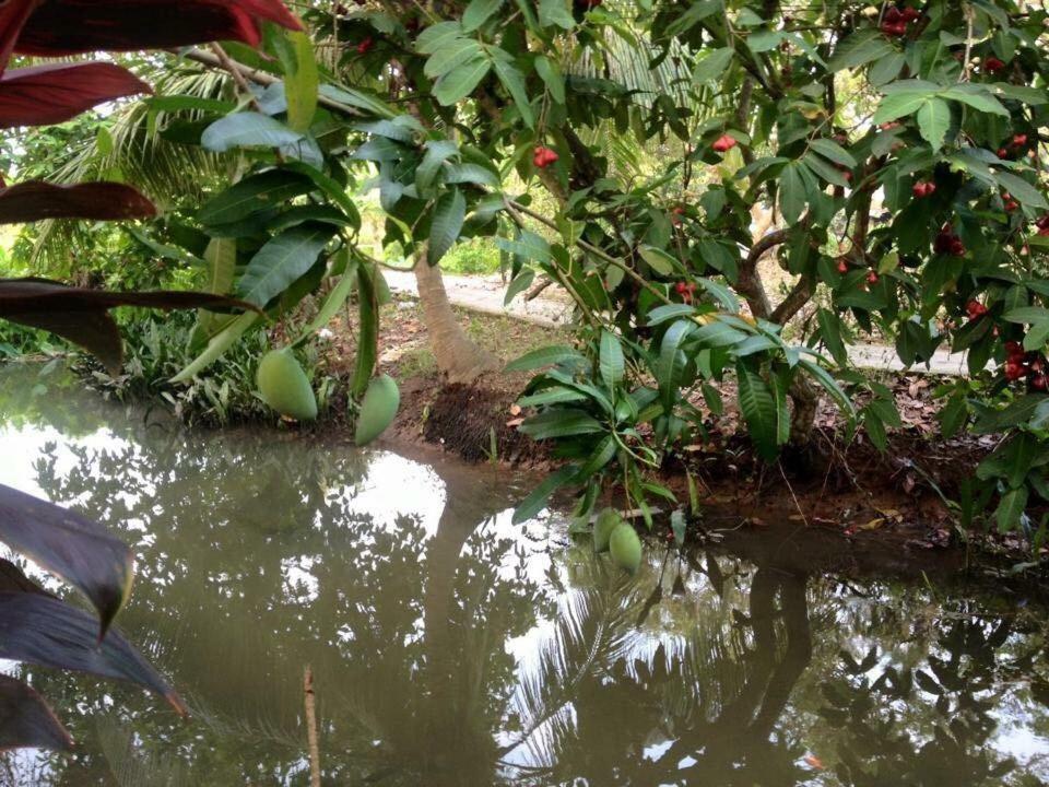 Nam Thanh Homestay Vĩnh Long Exterior photo